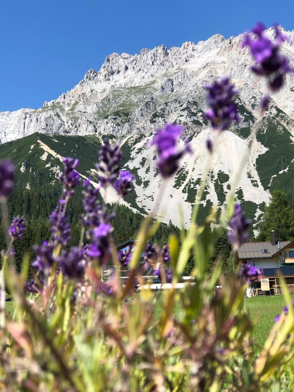 Club Villa Ramsau am Dachstein Buitenkant foto
